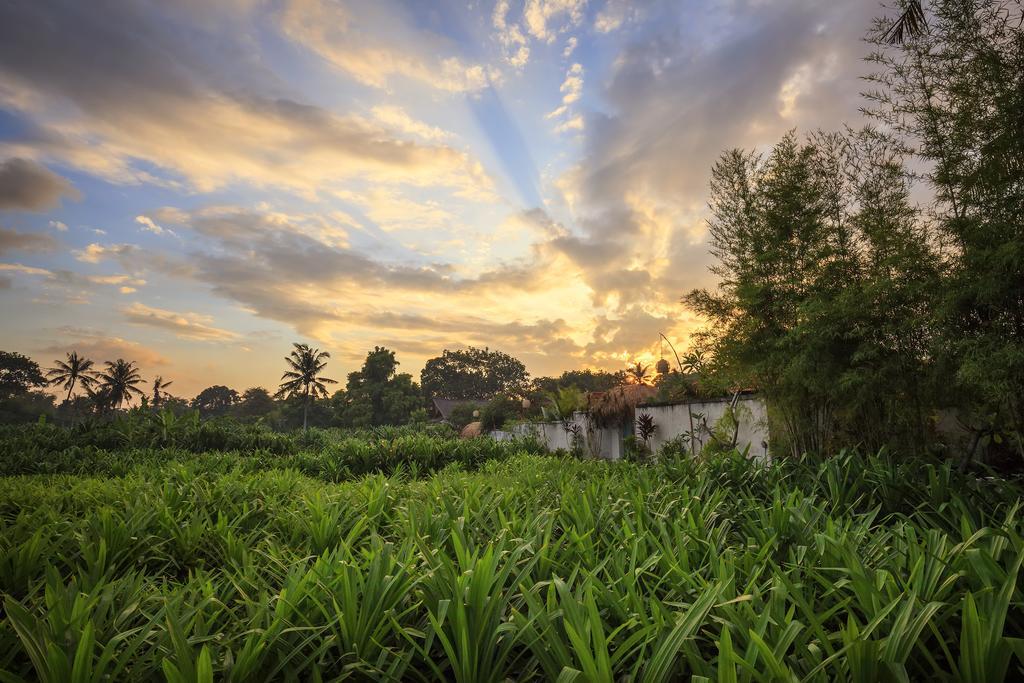 The Pandan Tree Villas Canggu Eksteriør billede